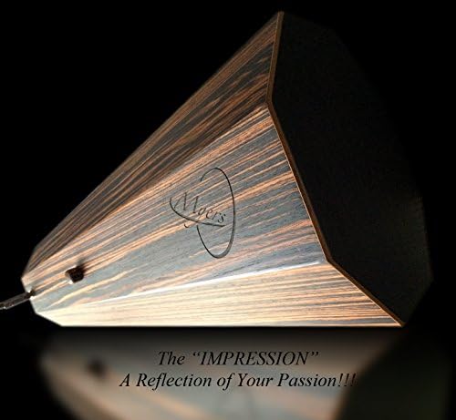"THE IMPRESSION" An Acoustic/Electric Percussion Instument. See it in ACTION!! Please copy and paste: myerspercussion.com