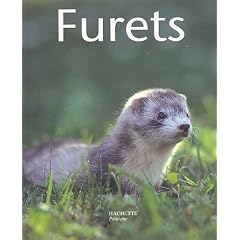Furets