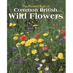 The Wayland Book of Common British Wild Flowers: A Photographic Guide