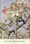 The Flower Fairies Poster Set (Flower Fairies Series)