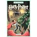 Harry Potter y la Camara Secreta / Harry Potter and the Chamber of Secrets