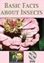 Basic Facts about Insects DVD