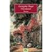 kamelin's lieblinge von georgette heyer