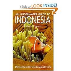 An Underwater Guide to Indonesia