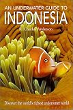 An Underwater Guide to Indonesia