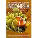 An Underwater Guide to Indonesia