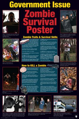 Zombie Survival Guide 24x36 Art Print Poster Framed