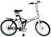 R Martin LF8 Folding Electric Bicycle