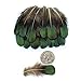 LolliBeads (TM) 20 Pcs Green Lady Amherst Bronze Iridescent Plumage Feathers inches Long 2-3 inches