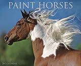 Paint Horses 2012 Calendar