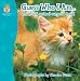 Books : Guess Who I Am...: a fold-out animal surprise book