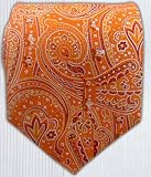100% Silk Woven Pumpkin Paisley Boys Tie