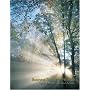 Business Research Methods with Student DVD (The Mcgraw-Hill/Irwin Series / Operations and Decision Sciences)