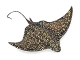 Wild Safari Sealife: Spotted Eagle Ray 515PoWhblXL. SL160 Wild Safari Sealife: Spotted Eagle Ray