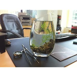 BLUEiQ Miniature Ecosystem