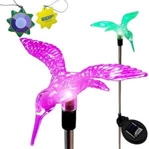 Hqrp Changing Multi-color Hummingbird