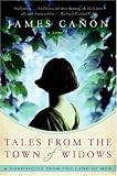 Tales from the Town of Widows: A Novel