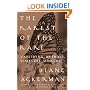 The Rarest of the Rare: Vanishing Animals, Timeless Worlds