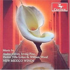 New Mexico Winds cover