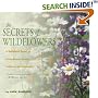 The Secrets of Wildflowers: A Delightful Feast of Little-Known Facts, Folklore, and History