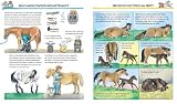 Produkt-Bild: Alles &uuml;ber Pferde und Ponys (Wieso? Weshalb? Warum?)