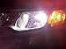 BlingLights H11B 4750K Hyper White Halogen Bulb, (Pack of 2)