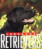 Labradors (Little Books)