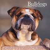 Bulldogs 2007 Calendar