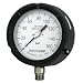 REOTEMP PT Series Process Pressure Gauge