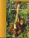 Biology: Understanding Human Life, 2nd Edition, ARTPACK
