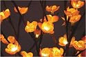 Tall Amber Plum Blossom Lights