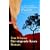 Der singende Baum: Roman