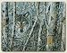 Kitchen & Housewares : 11"x15"~ Wolf in Trees ~ Glass Cutting Board