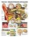 Book The The Ear: Organs of Hearing and Balance Anatomical Chart
