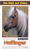 Haflinger - Heinrich Gretler