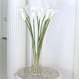 White Calla Lily Stems