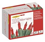 Celebrations 100 Mini Light Set