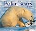Polar Bears 2007 (Calendar)