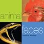 Animal Faces