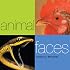 Animal Faces