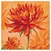 Red Dahlia by Susanne Bach Art Print Poster - FRAMED