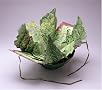 The Book as Art: Artists' Books from the National Museum of Women in the Arts