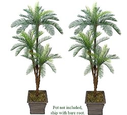 TWO 6' Cycas Tripled Artificial Palm Tree Silk Plant _Plastic Fronds
