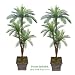 TWO 6' Cycas Tripled Artificial Palm Tree Silk Plant _plastic Fronds, with No Pot,