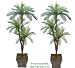 TWO 6' Cycas Tripled Artificial Palm Tree Silk Plant _plastic Fronds, with No Pot,