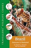Brazil : Amazon and Pantanal