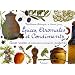 Epices, aromates et condiments : Petites recettes d'assaisonnements parfum�s