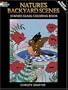 Nature's Backyard Scenes Stained Glass Coloring Book (Dover Nature Stained Glass Coloring Book)