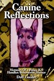 Canine Reflections