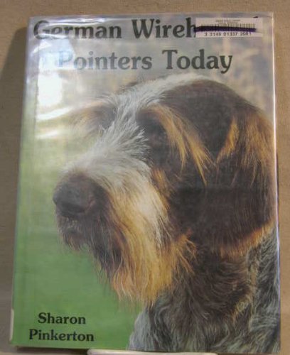 German Wirehaired Pointers Today
